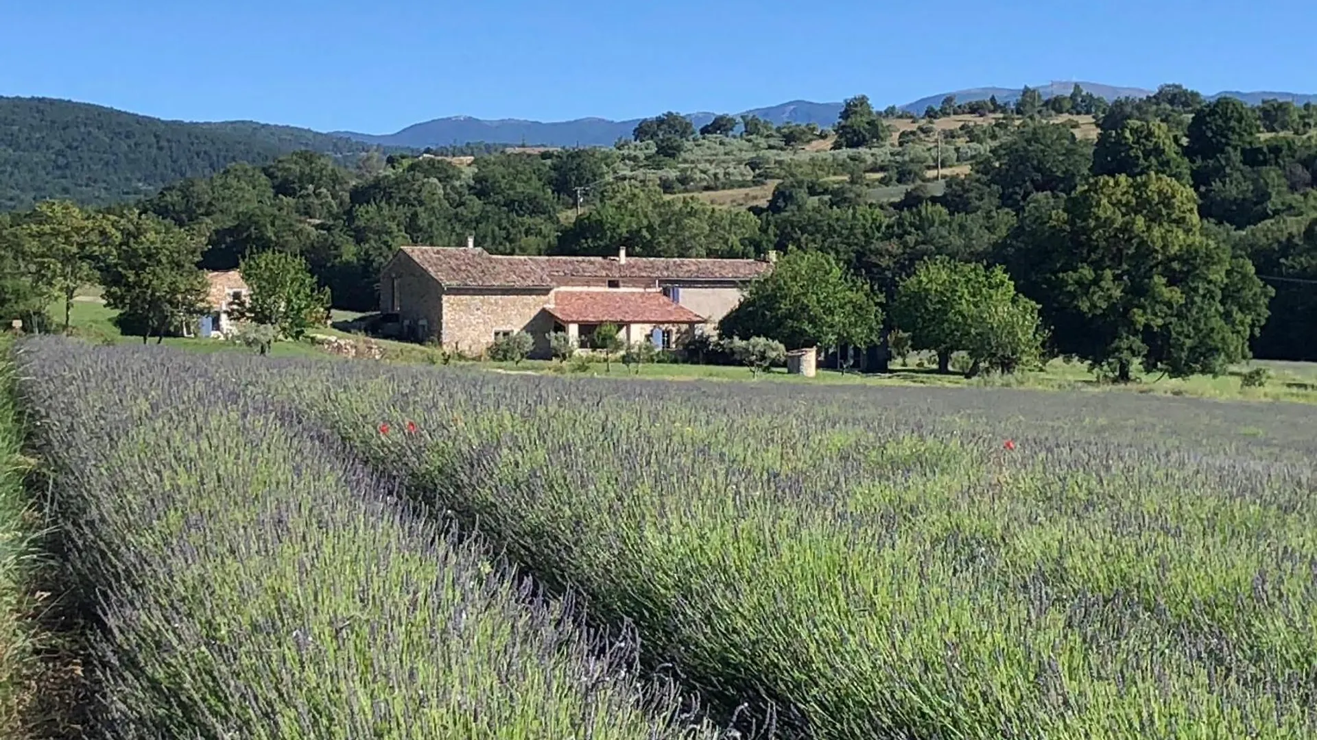 Charmante Maisonnette Au Calme Pierrerue  Holiday home Pierrerue (Alpes-de-Haute-Provence)