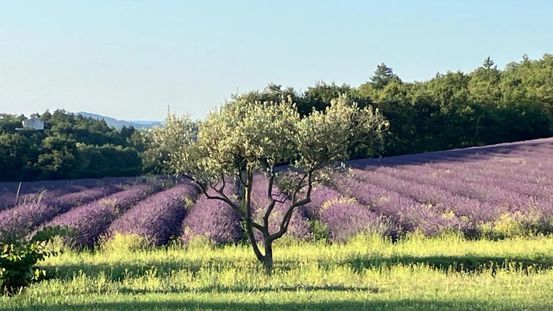 Charmante Maisonnette Au Calme Pierrerue  Pierrerue (Alpes-de-Haute-Provence)