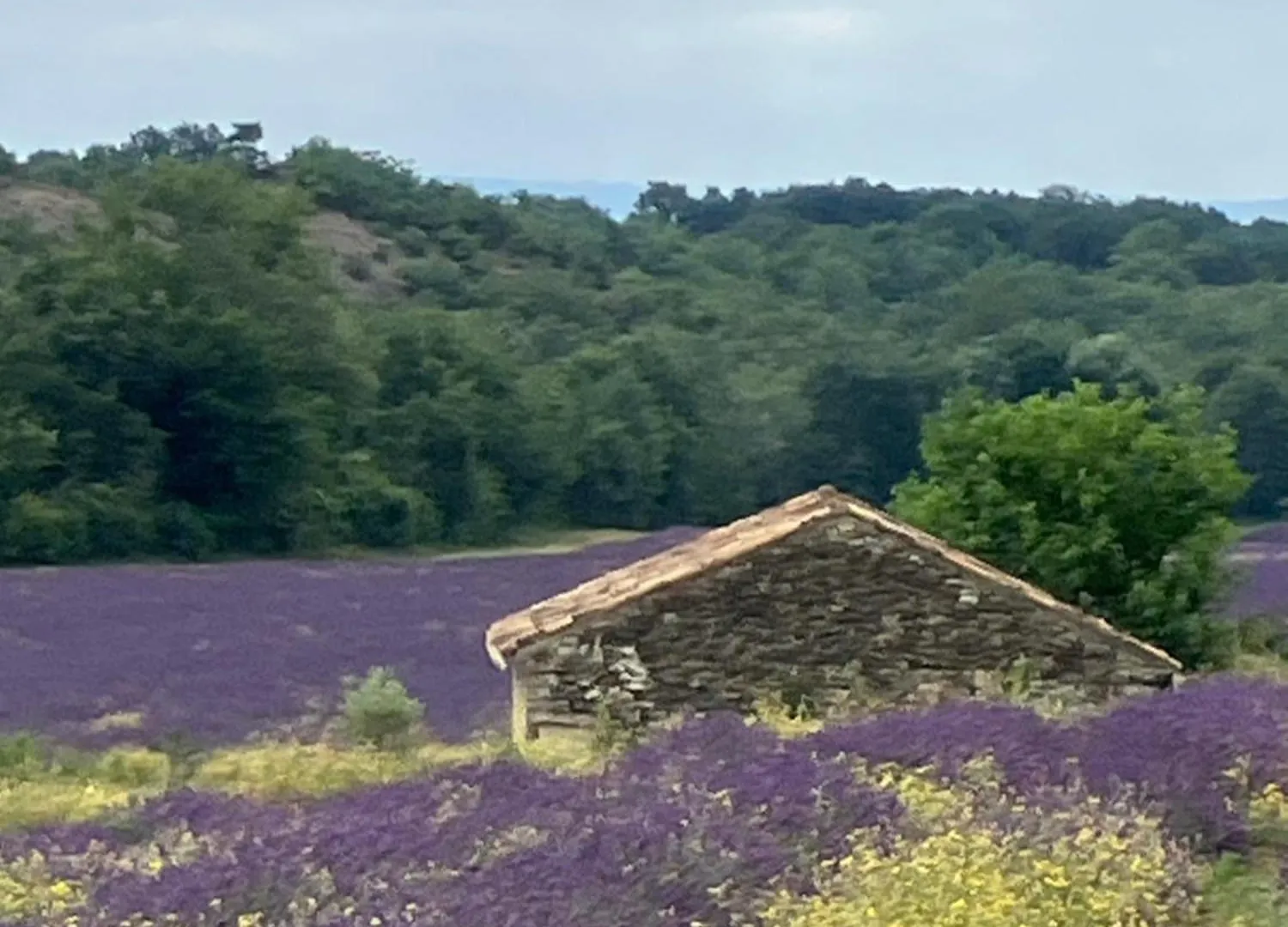 Charmante Maisonnette Au Calme Pierrerue  France